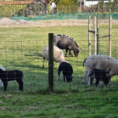Hemmer Hoeve Luaran gambar