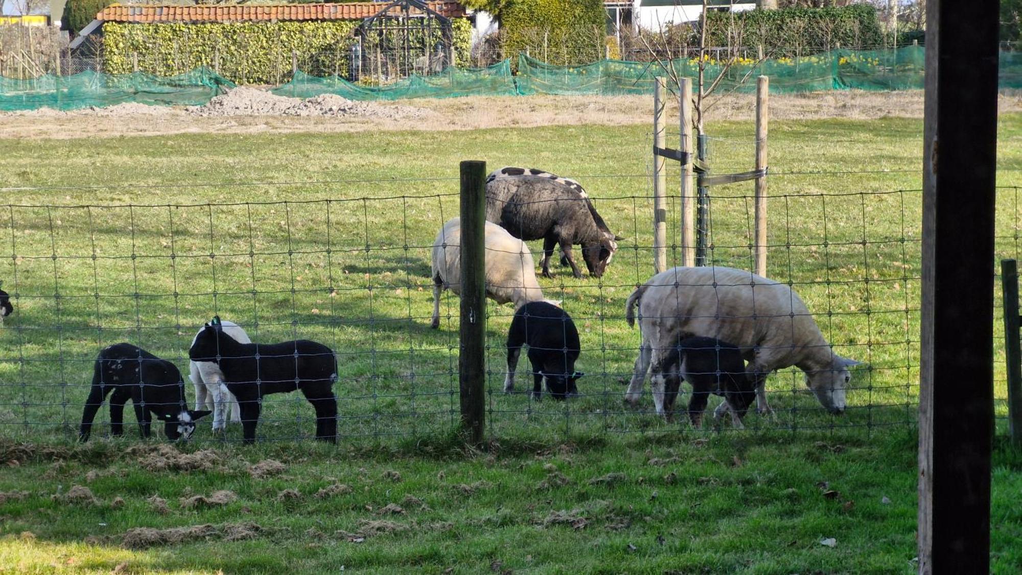 Hemmer Hoeve Luaran gambar