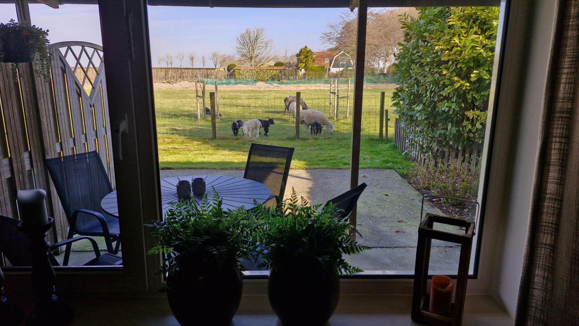 Hemmer Hoeve Luaran gambar